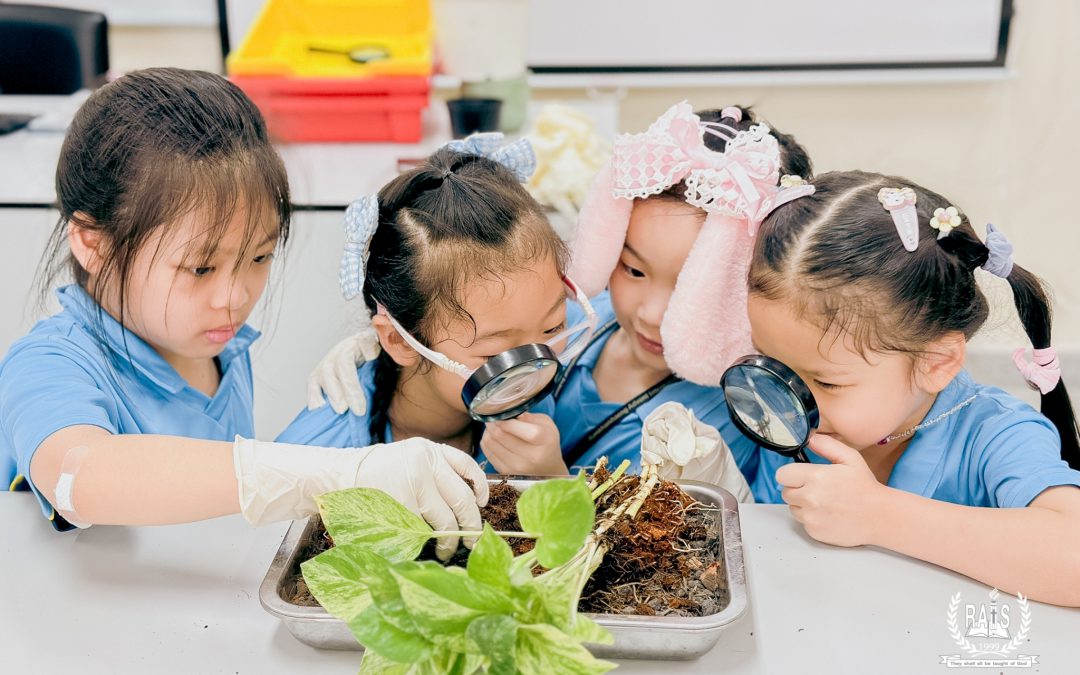 ​Exciting Science Lab Adventures at RAIS!