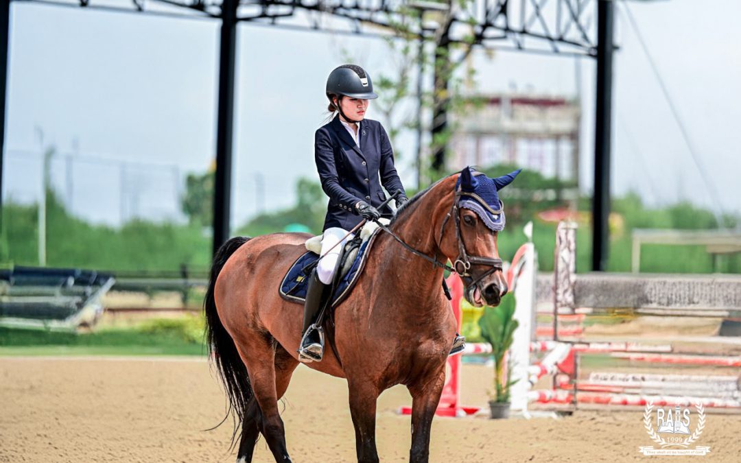 Champion Recognition | Horse Jumping