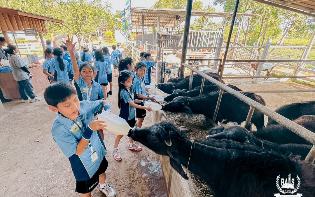 ​RAIS Field Trip: Grade 4-5 & EFL!