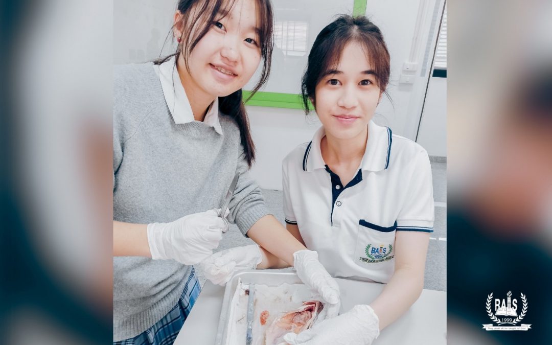 ​Biology in Action!