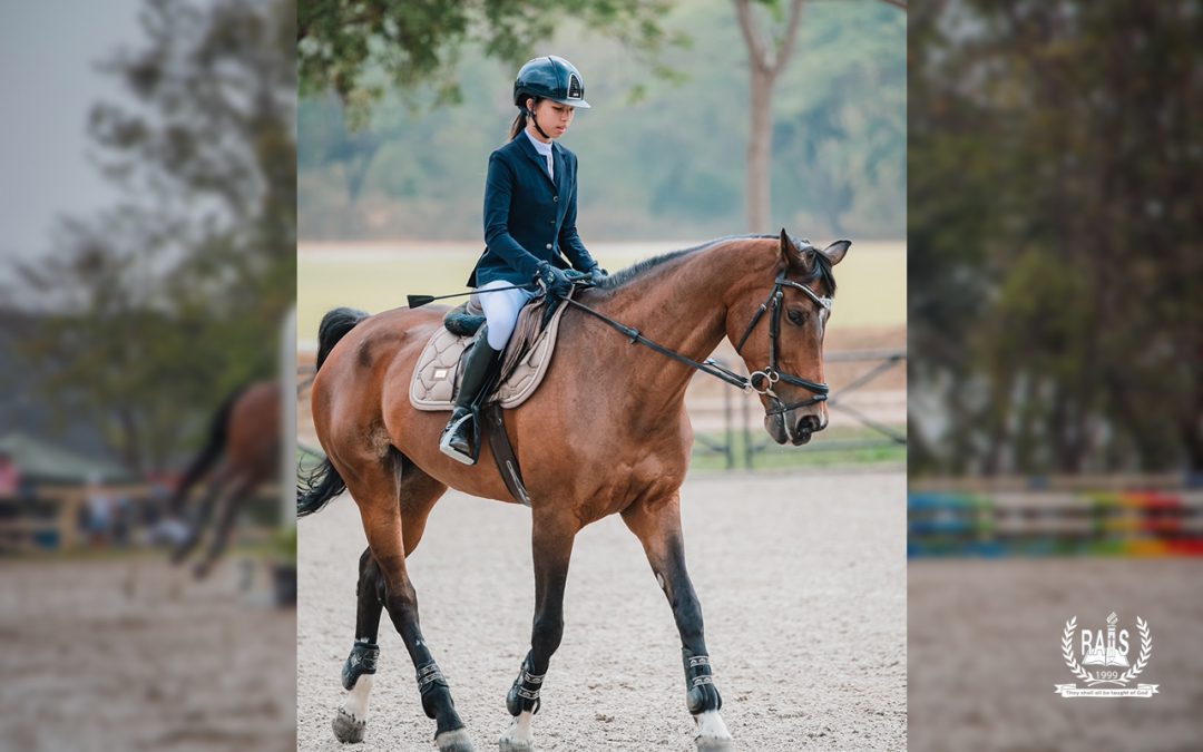 Champion Recognition | Equestrian